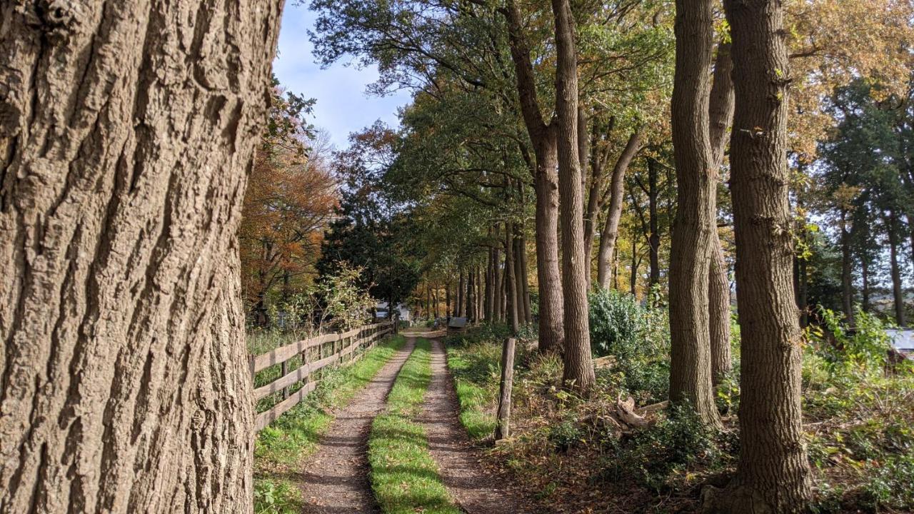 Chalet Op De Veluwe # Beuk Putten Exterior foto
