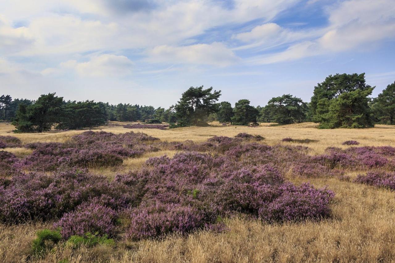 Chalet Op De Veluwe # Beuk Putten Exterior foto